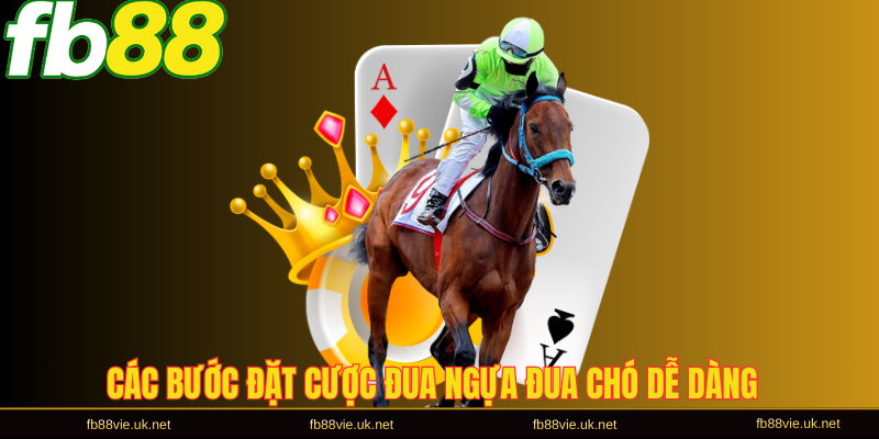 Các bước đặt cược đua ngựa đua chó dễ dàng
