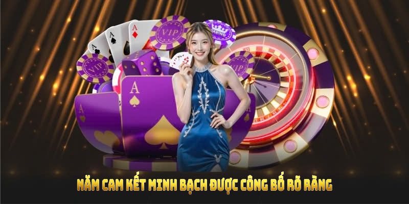 Năm cam kết minh bạch được công bố rõ ràng